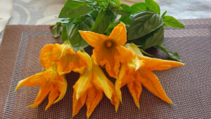 fiori di zucca aperti