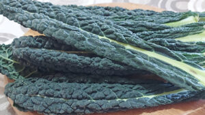 cavolo nero