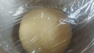 panetto danubio dolce coperto