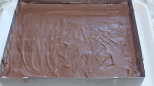 chocotorta con copertura solidificata